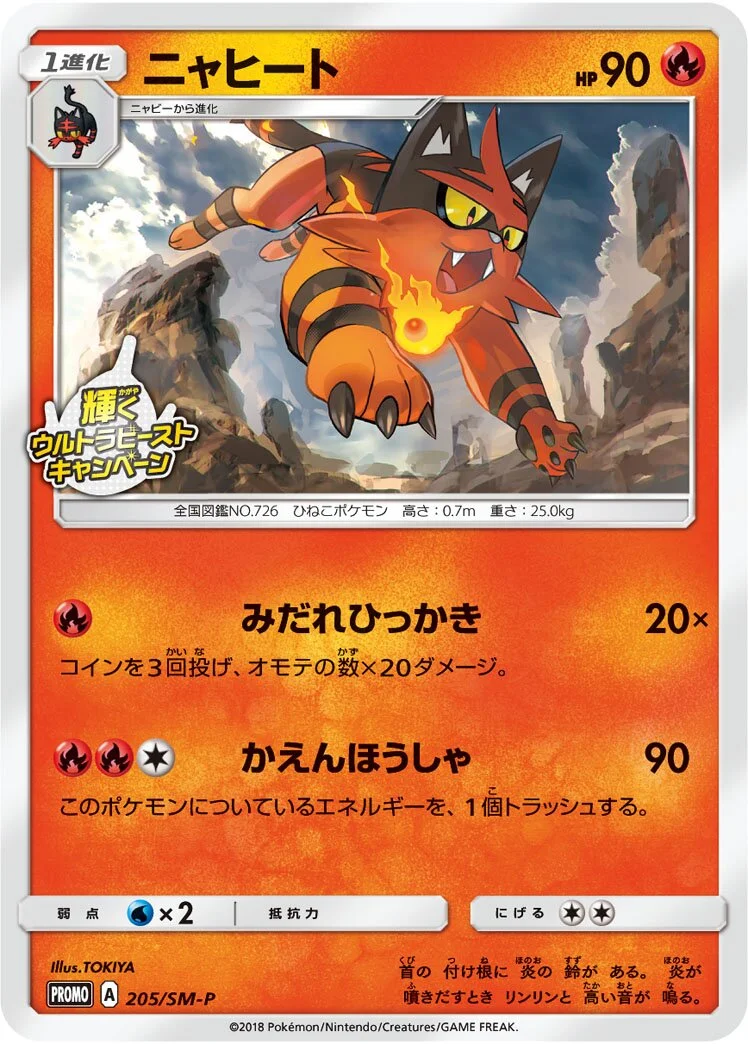 Torracat 「SMP 205/SM-P」「JP」
