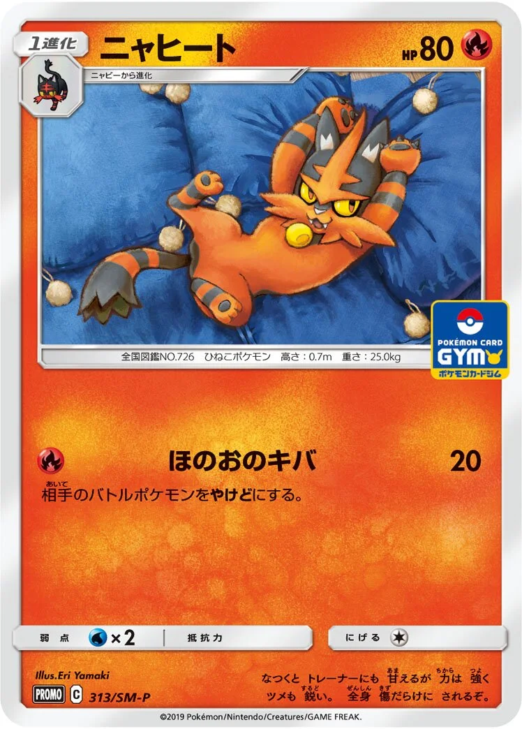 Torracat 「SMP 313/SM-P」「JP」