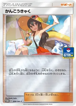 Sightseer #308/SM-P · Pokémon