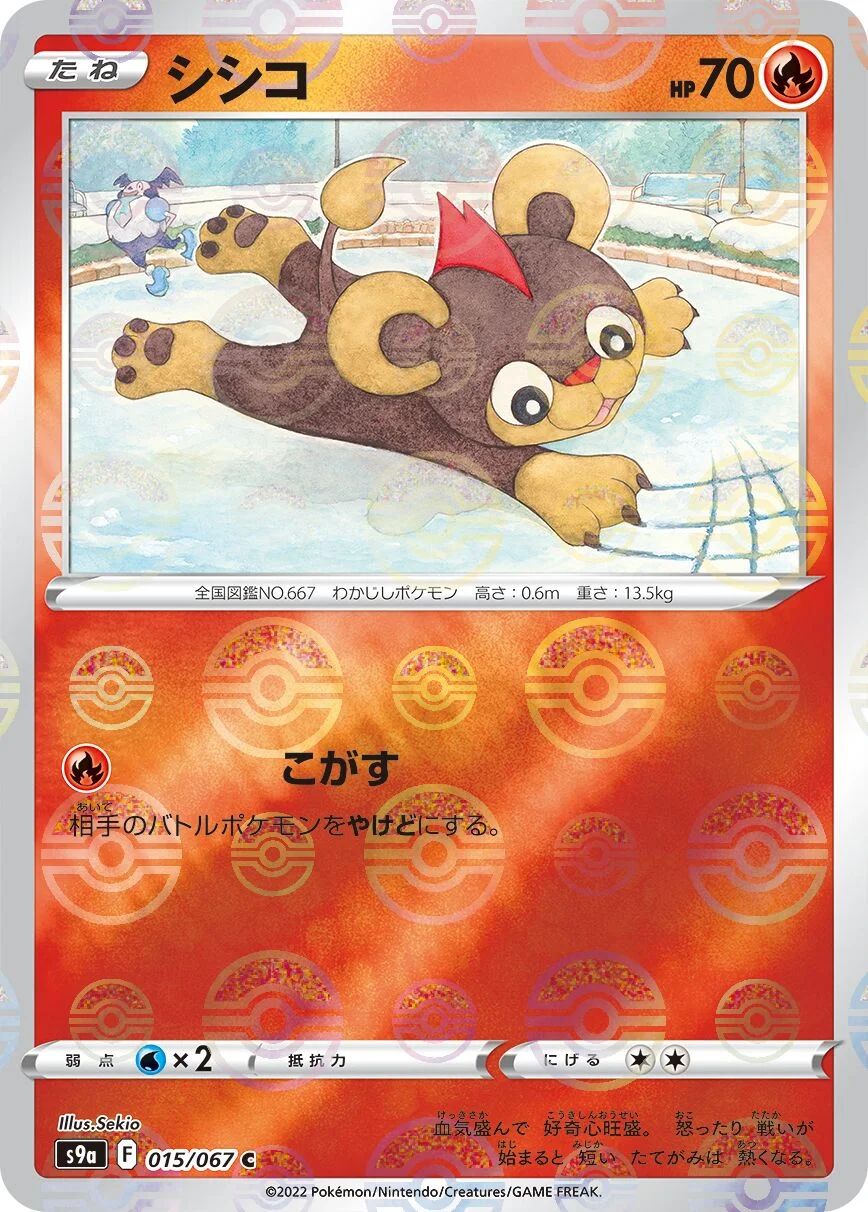 Litleo 「S9A 015/067」「JP」