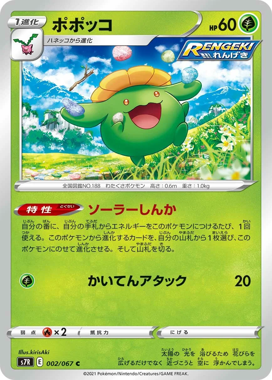 Skiploom 「S7R 002/067」「JP」