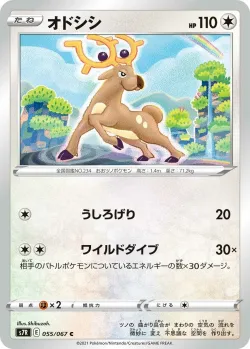 Stantler 「S7R 055/067」「JP」