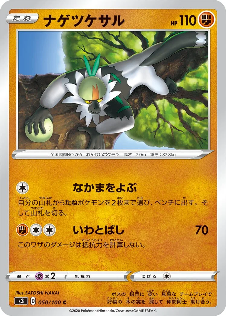 Passimian 「S3 050/100」「JP」