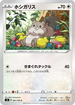 Skwovet 「S3 087/100」「JP」