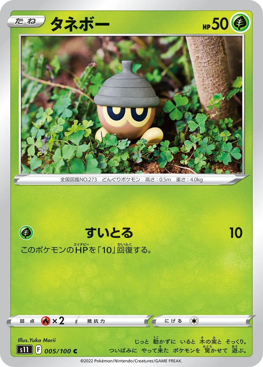Seedot 「S11 005/100」「JP」