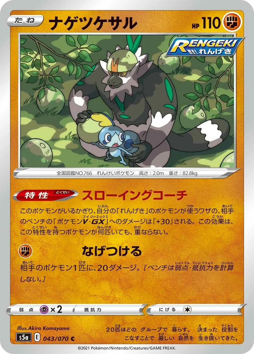 Passimian 「S5A 043/070」「JP」