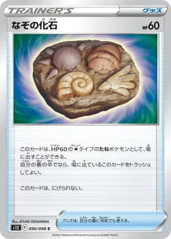Unidentified Fossil 「S12 090/098」「JP」