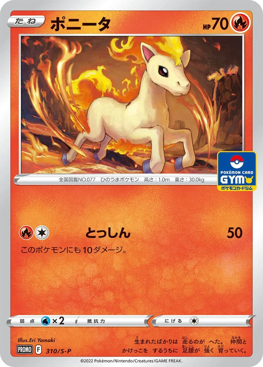 Ponyta 「SP 310/S-P」「JP」