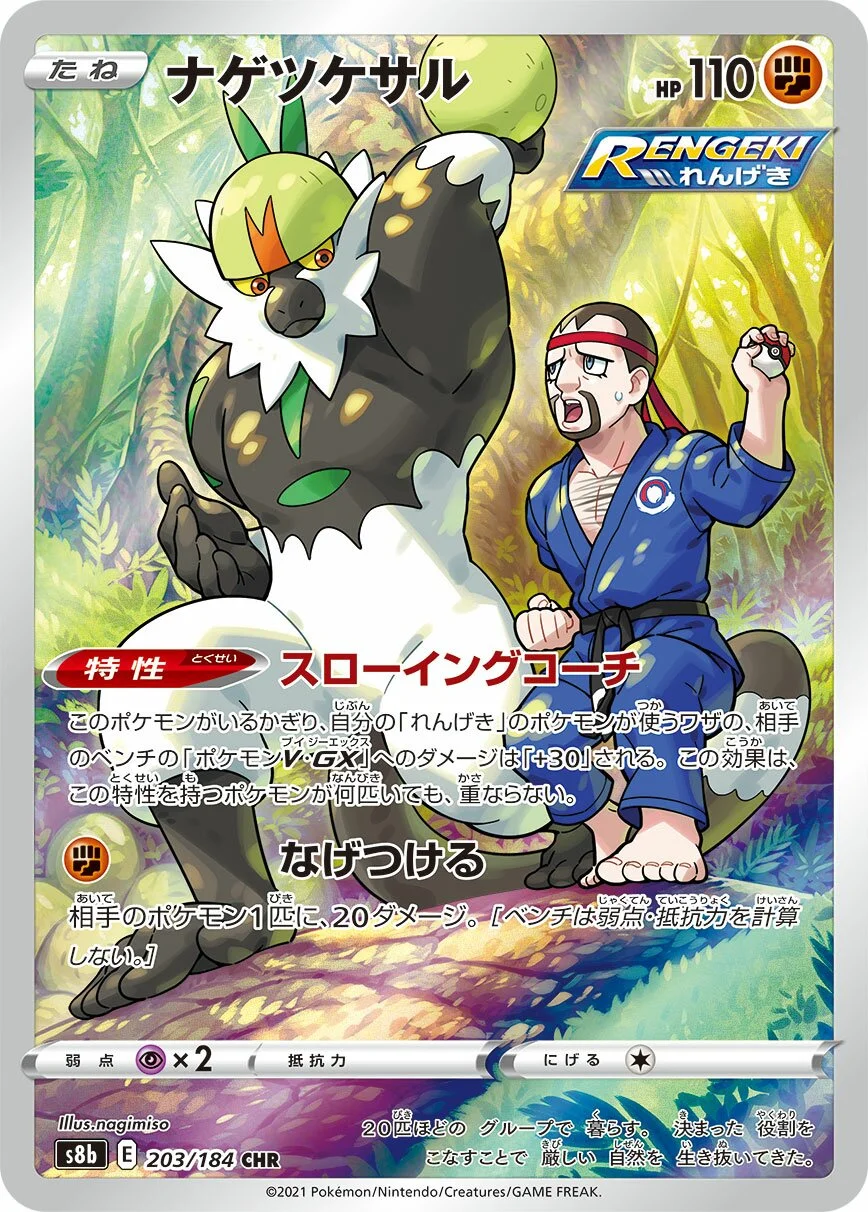 Passimian 「S8B 203/184」「JP」
