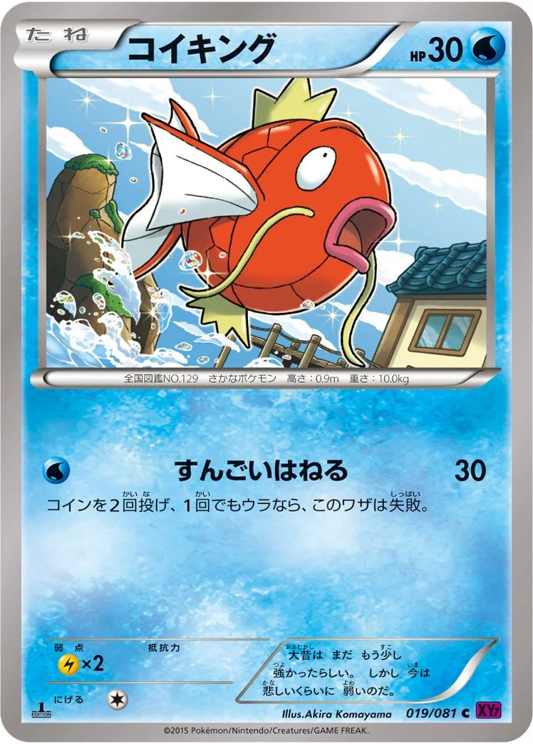 Magikarp 「XY7 019/081」「JP」