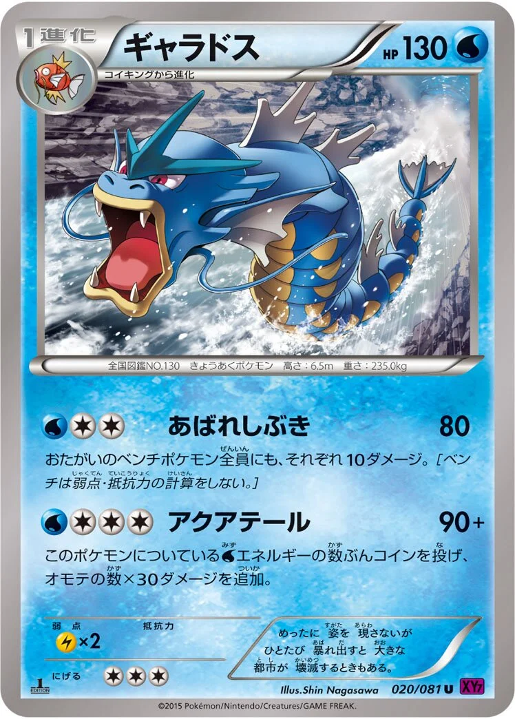 Gyarados 「XY7 020/081」「JP」