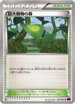 Forest of Giant Plants 「XY7 079/081」「JP」