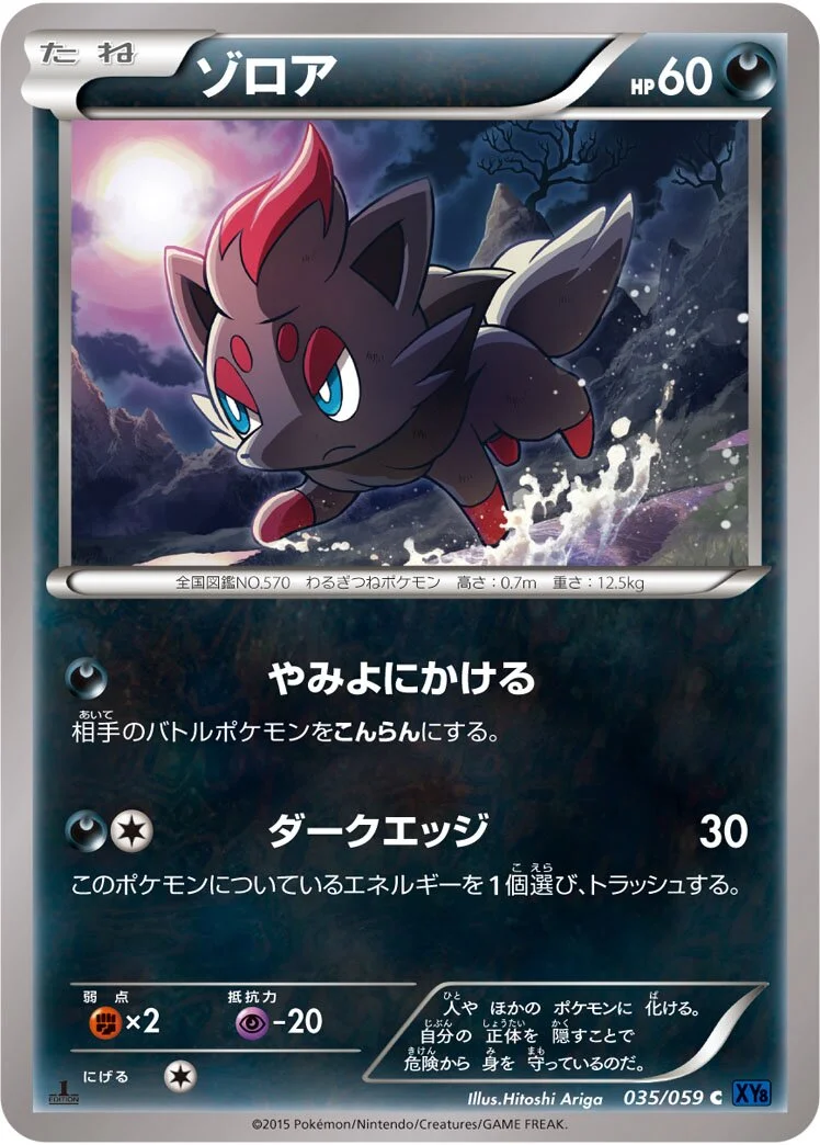 Zorua 「XY8-BB 035/059」「JP」