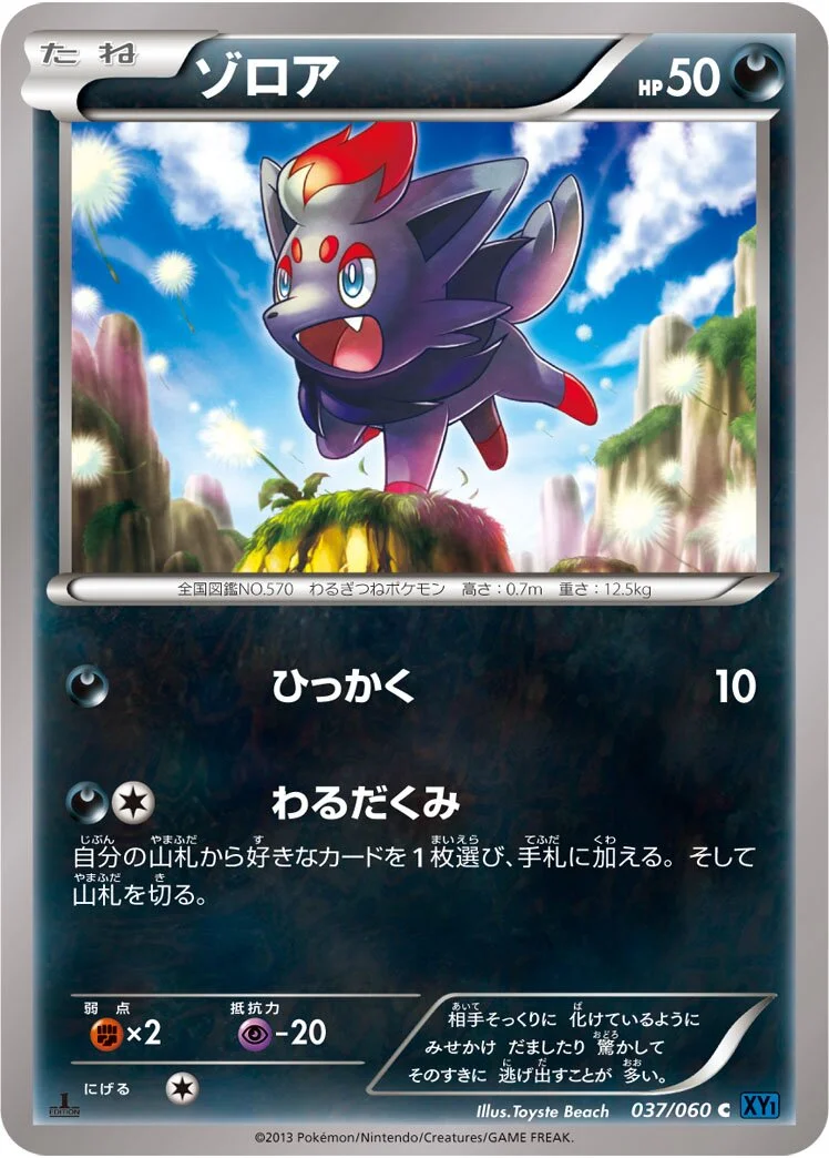 Zorua 「XY1-BX 037/060」「JP」