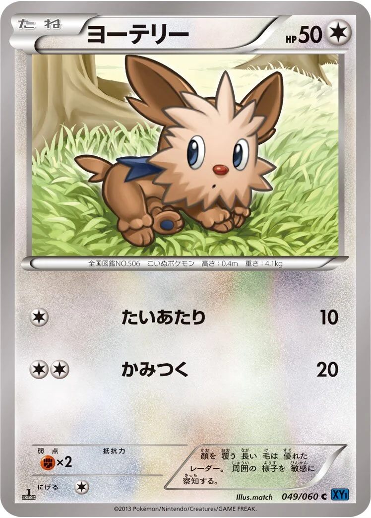 Lillipup 「XY1-BX 049/060」「JP」