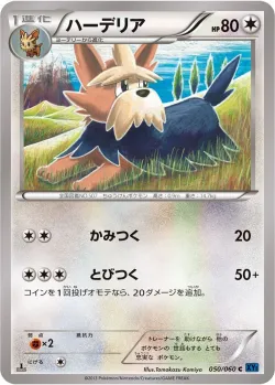 Herdier 「XY1-BX 050/060」「JP」