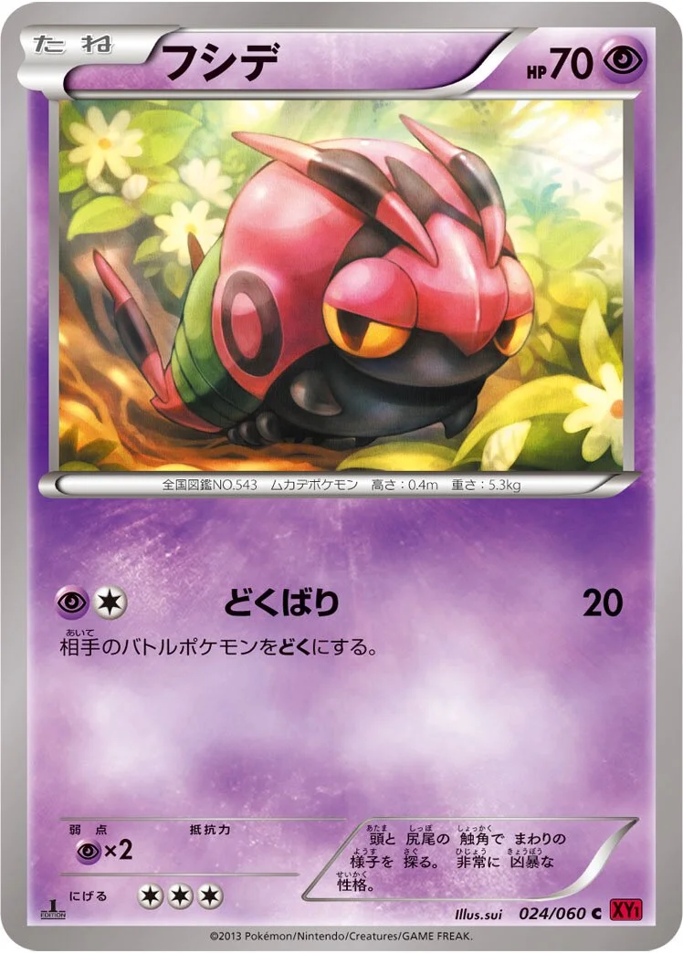 Venipede 「XY1-BY 024/060」「JP」