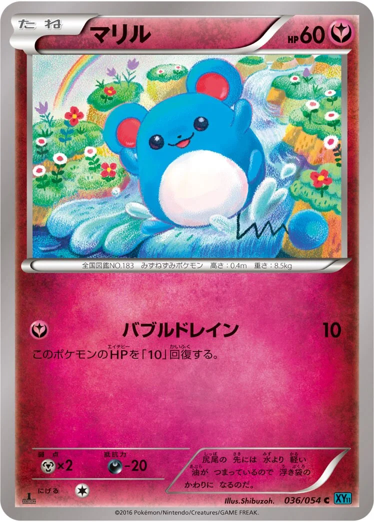 Marill 「XY11-BR 036/054」「JP」