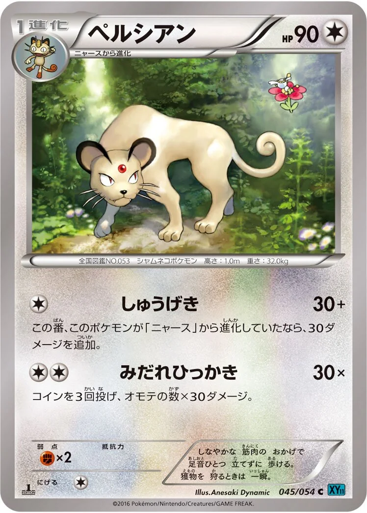 Persian 「XY11-BR 045/054」「JP」