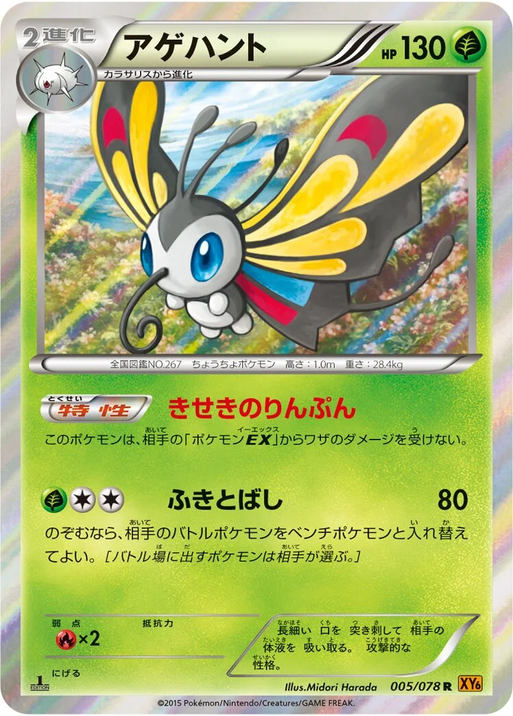 Beautifly 「XY6 005/078」「JP」