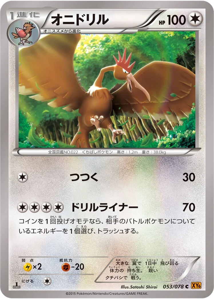 Fearow 「XY6 053/078」「JP」