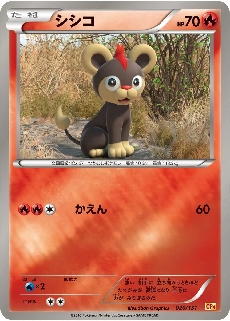 Litleo 「CP4 020/131」「JP」