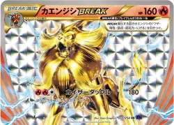 Pyroar BREAK #010/054 · Pokémon