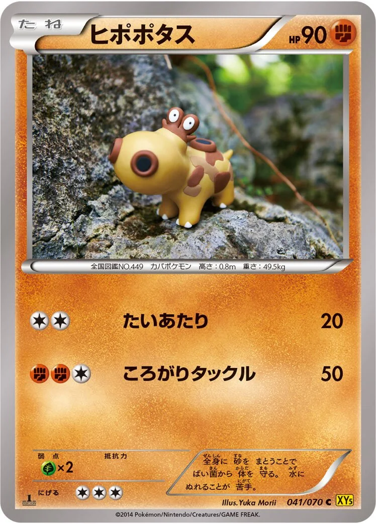 Hippopotas 「XY5-BG 041/070」「JP」