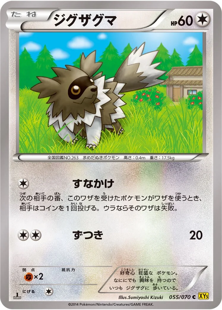 Zigzagoon 「XY5-BG 055/070」「JP」
