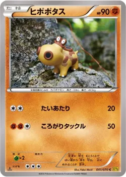 Hippopotas 「XY5-BG 041/070」「JP」