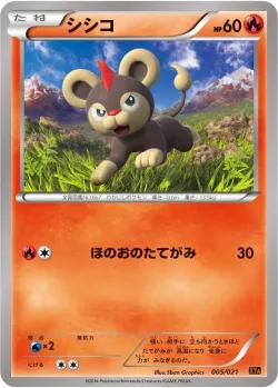 Litleo 「XYA 005/021」「JP」