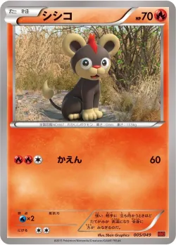Litleo 「MMB-P 005/049」「JP」