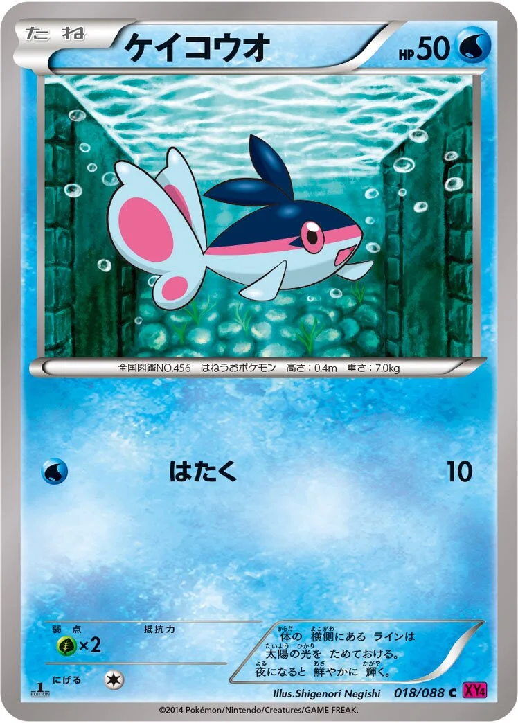 Finneon 「XY4 018/088」「JP」