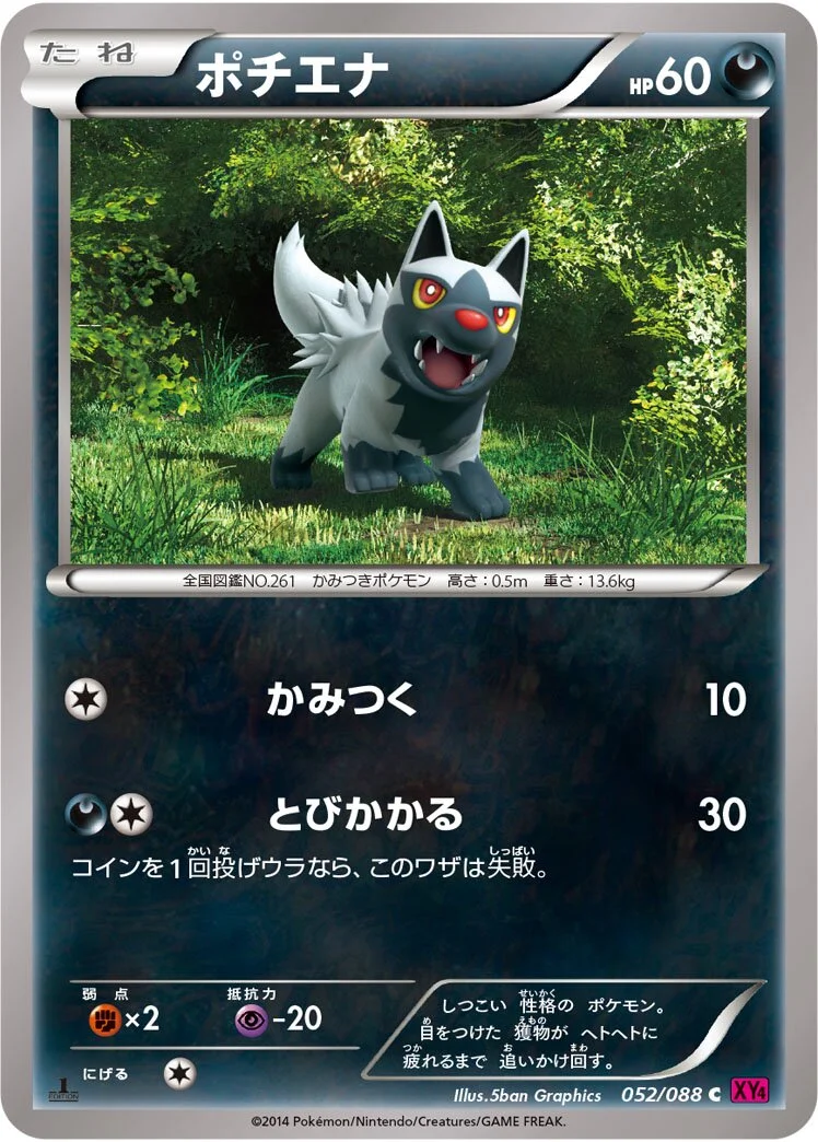 Poochyena 「XY4 052/088」「JP」