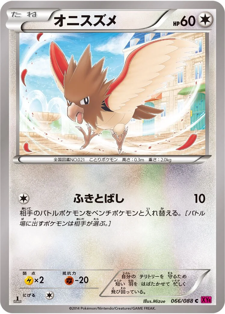 Spearow 「XY4 066/088」「JP」