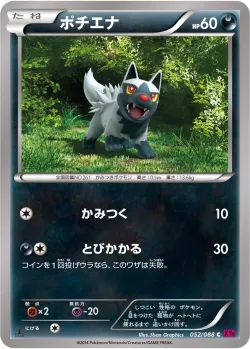Poochyena 「XY4 052/088」「JP」