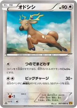 Stantler 「XY9 067/080」「JP」