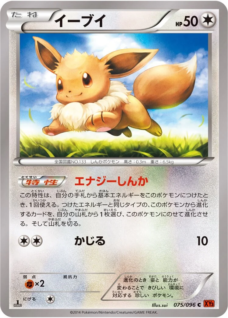 Eevee 「XY3 075/096」「JP」