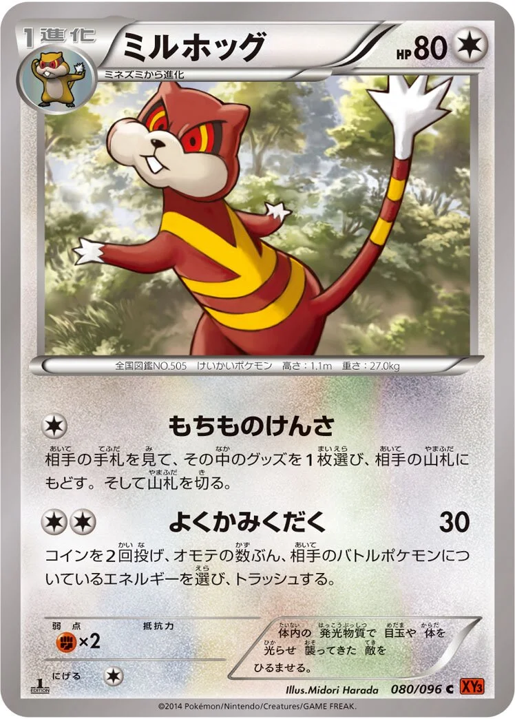 Watchog 「XY3 080/096」「JP」
