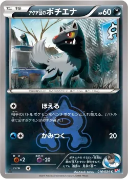 Team Aqua's Poochyena 「CP1 016/034」「JP」