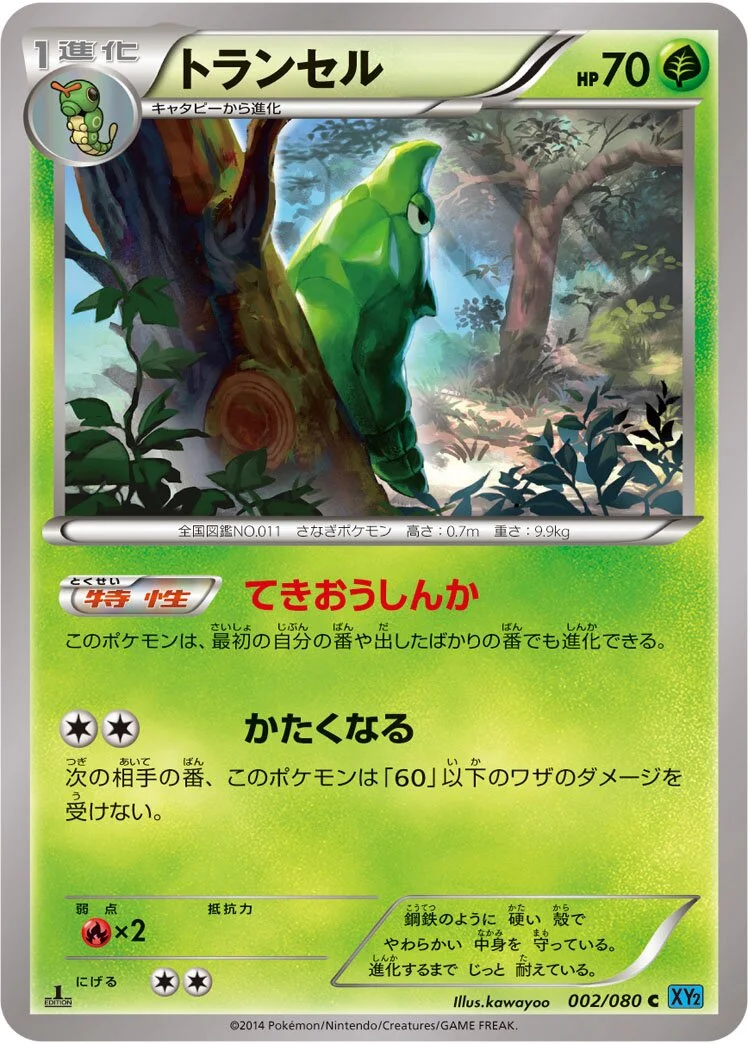 Metapod 「XY2 002/080」「JP」