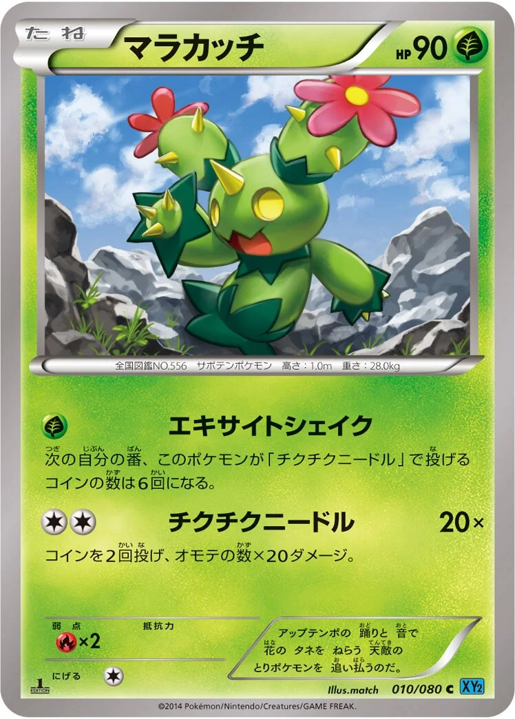 Maractus 「XY2 010/080」「JP」