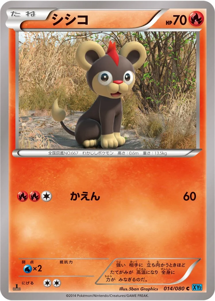 Litleo 「XY2 014/080」「JP」