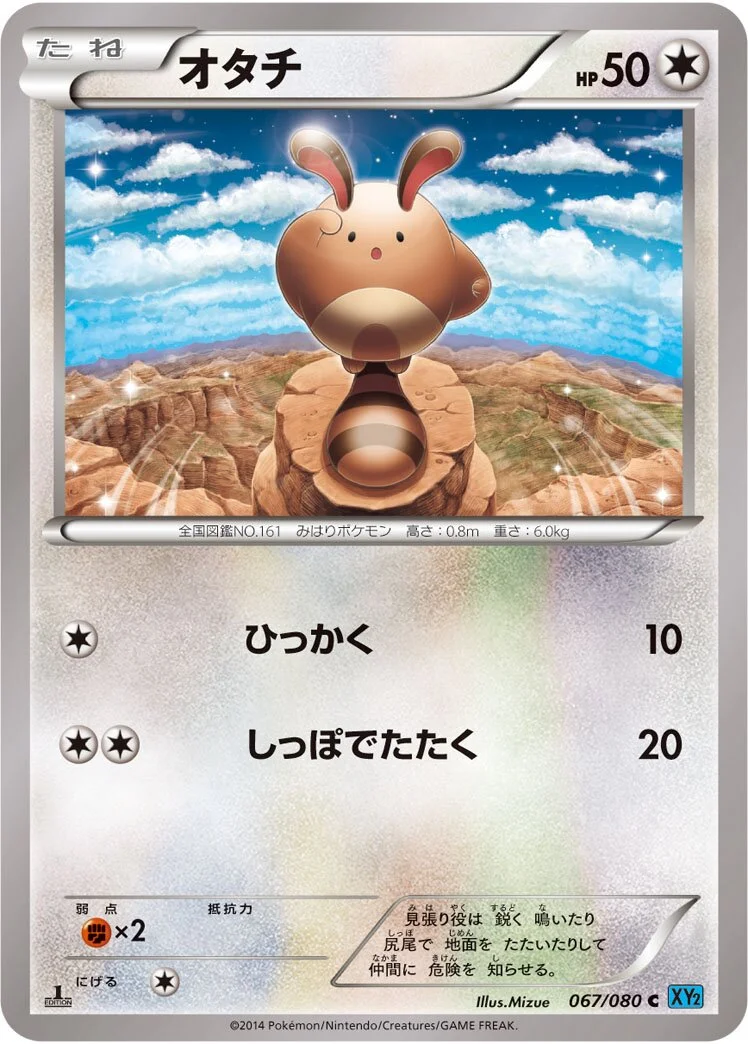 Sentret 「XY2 067/080」「JP」