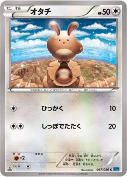 Sentret 「XY2 067/080」「JP」