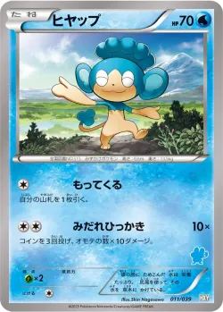 Panpour 「HXY 011/039」「JP」