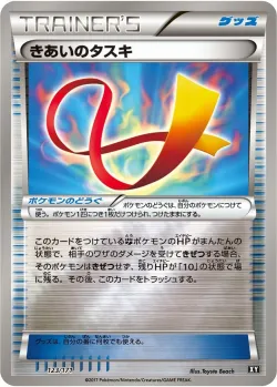 Focus Sash 「XY 123/171」「JP」