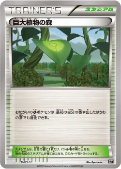 Forest of Giant Plants 「XY 154/171」「JP」