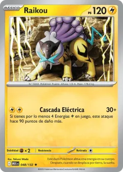 Raikou #048/132 · Pokémon