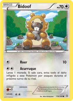 Bidoof #116/160 · Pokémon